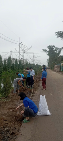 CHI ĐOÀN TRƯỜNG MẦM NON CAO VIÊN PHỐI HỢP VỚI ĐOÀN THANH NIÊN XÃ BÌNH MINH TRIỂN KHAI PHONG TRÀO TRỒNG CÂY XANH, HOA TRONG KHUÔN VIÊN TRƯỜNG HỌC