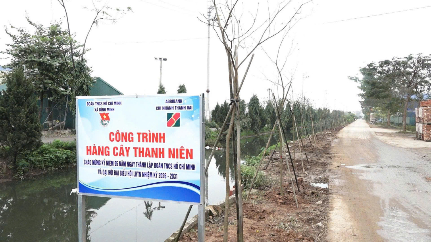 TRƯỜNG MẦM NON CAO VIÊN NHẬN BÀN GIAO HÀNG CÂY PHONG LINH