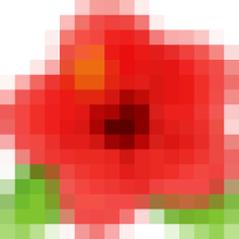 CHI BỘ TRƯỜNG MẦM NON CAO VIÊN TỔ CHỨC HỘI NGHỊ KIỂM ĐIỂM TẬP THỂ, CÁ NHÂN VÀ ĐÁNH GIÁ CHẤT LƯỢNG TỔ CHỨC CƠ SỞ ĐẢNG, ĐẢNG VIÊN NĂM 2025